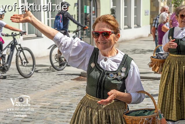 Foto Laudi_ Volksfestzug-59.jpg